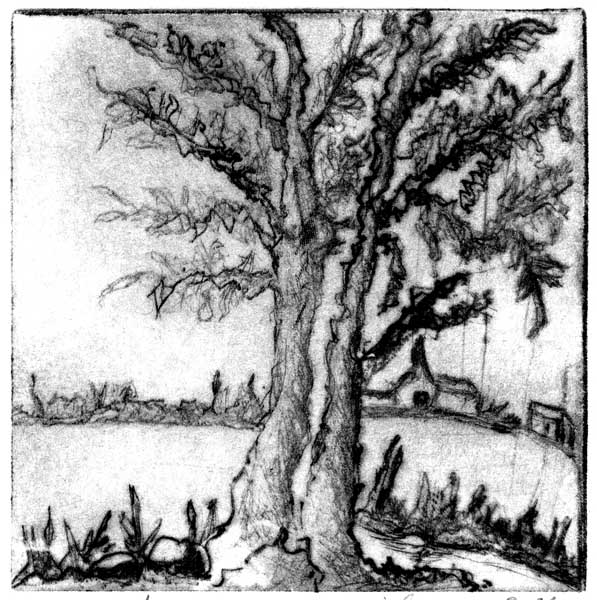 village thru tree Picture