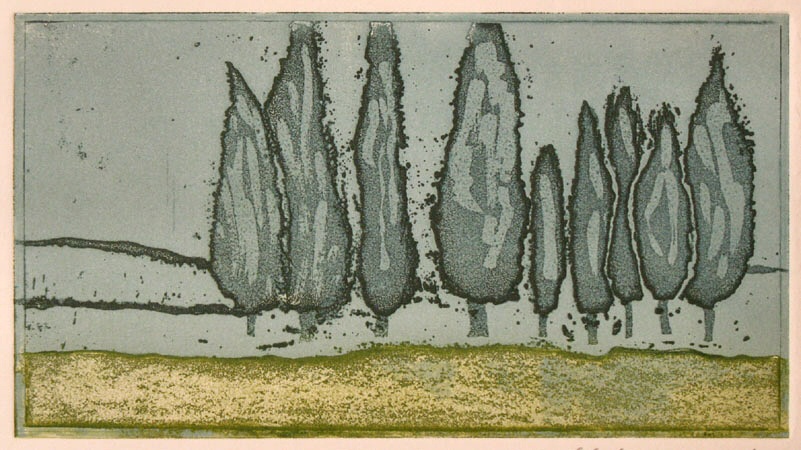 Cypress trees with blue line Picture