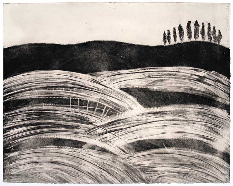 Cypress trees on the horizon Picture