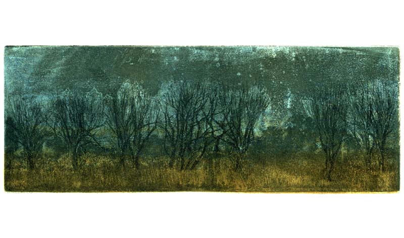 Automn eve, 2004 Picture