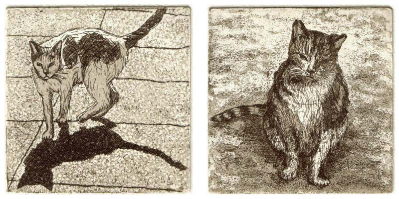 Street cats, 2006 Picture