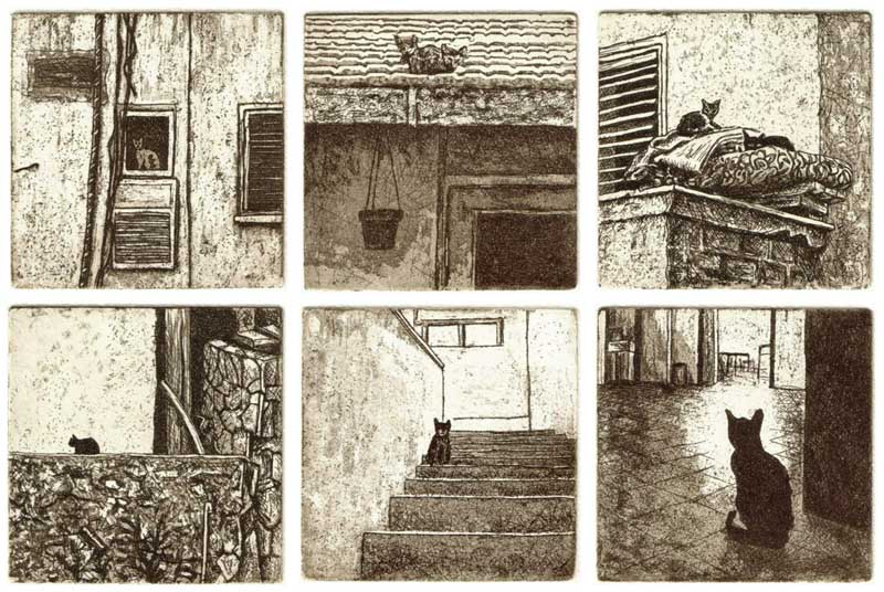 Street cats, 2006 Picture