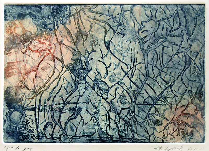 Impressions in stone Picture