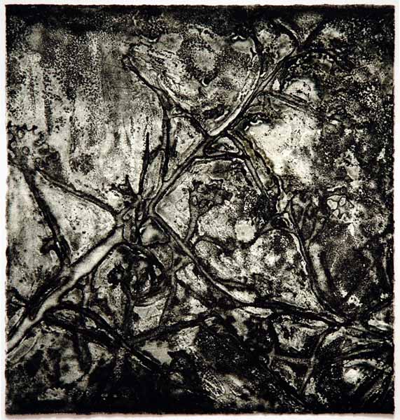 Gan Ha'atzmaut Picture