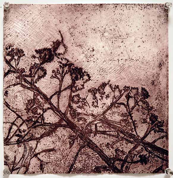 Gan Ha'atzmaut Picture