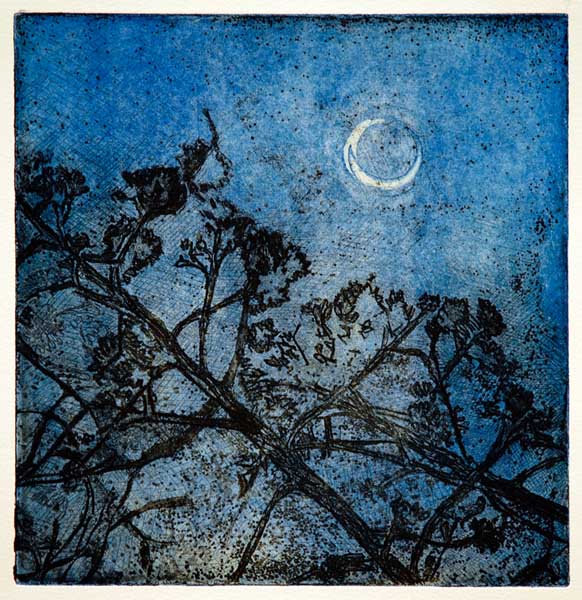 Gan Ha'atzmaut Picture