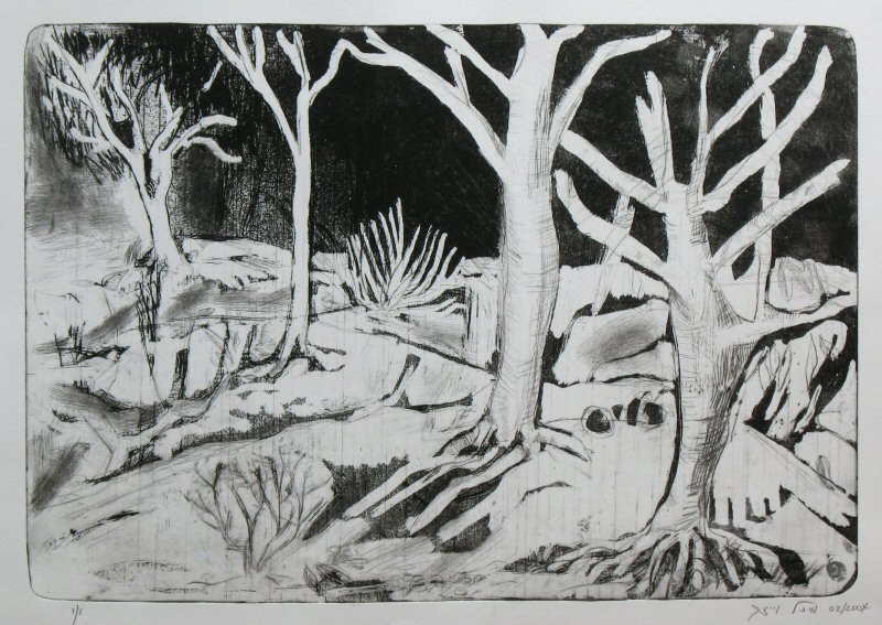 From the series - Arava to Sharon Picture