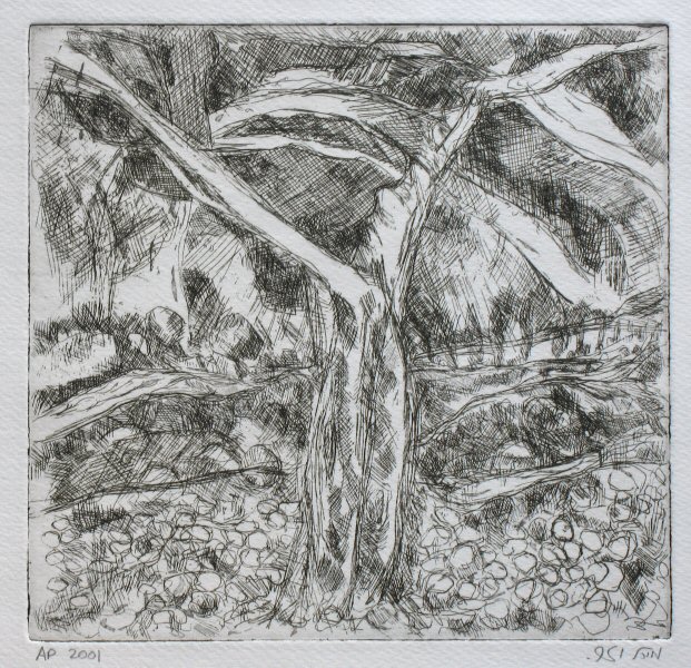 From my window Picture