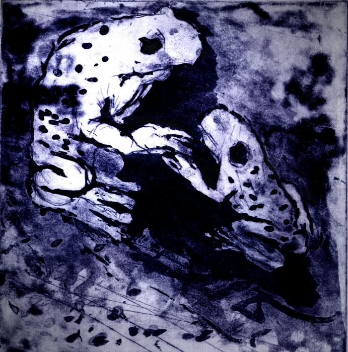 Froggies Picture