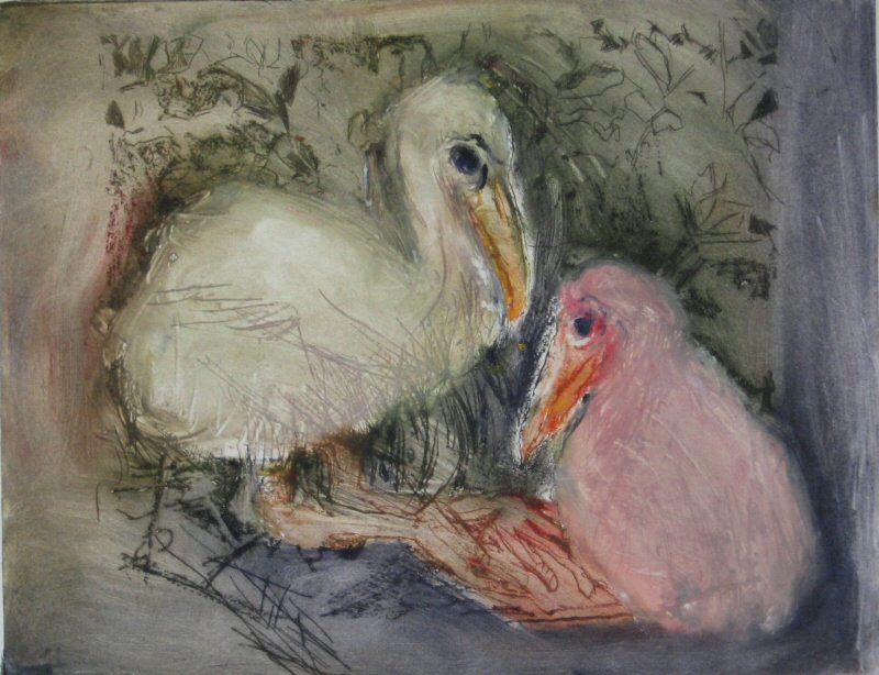 Chicks 1 Picture