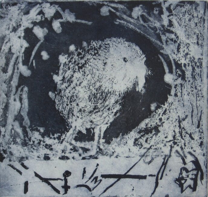 Kiwi Picture