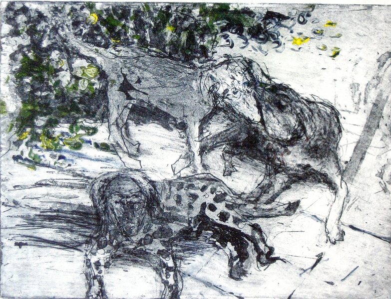 Dogs Picture