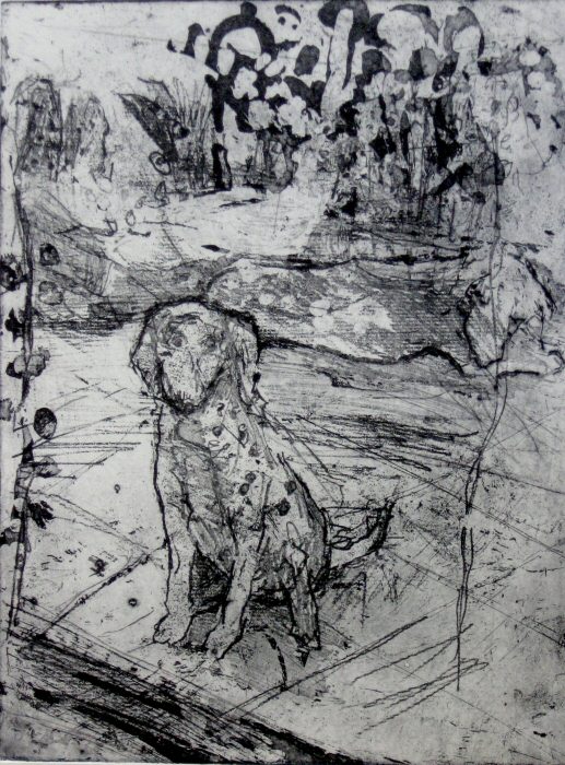A Dog Picture