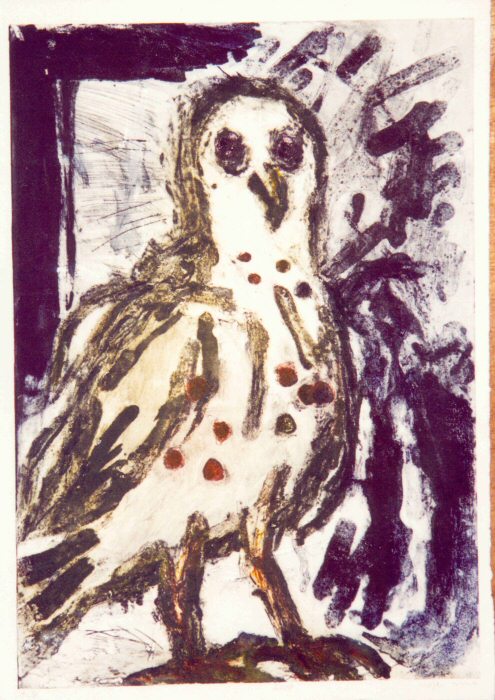 A Bird Picture