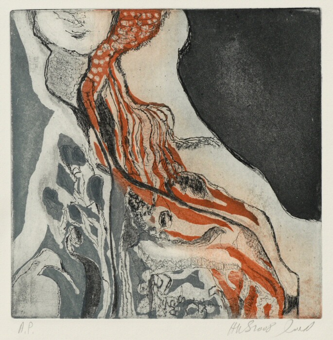 The princess Picture