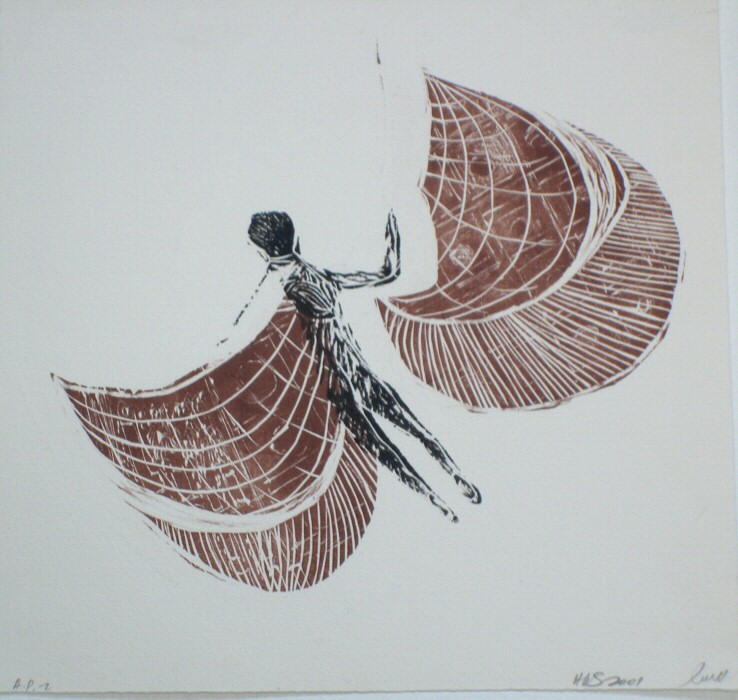 Icaros flight Picture