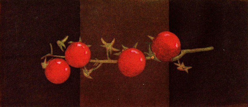 Four Tomatoes 2008  Picture