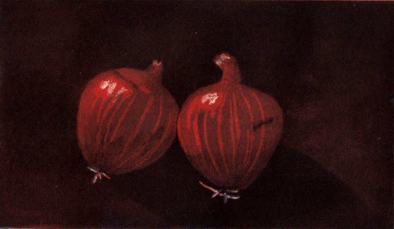 Onions  2009  Picture