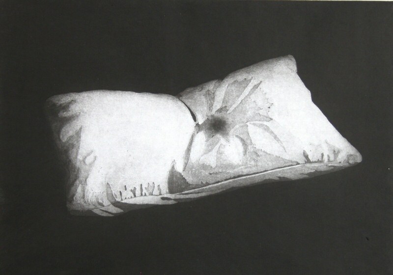 Dream Pillow  2008  Picture
