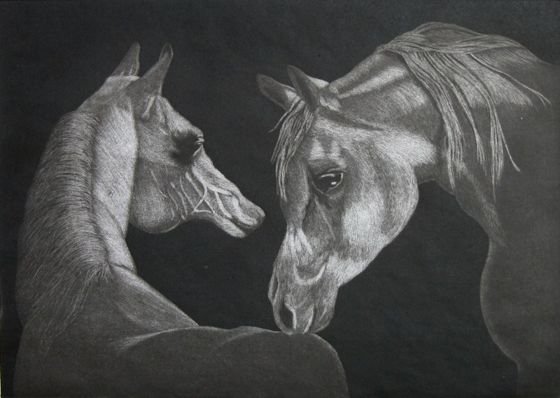 Horses 2  2008  Picture