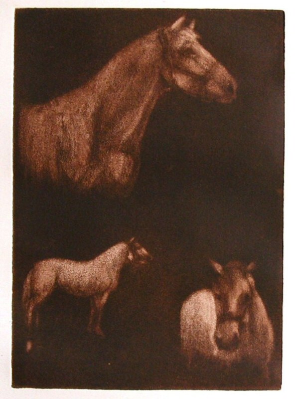 Horses 3 (Study)  2006  Picture