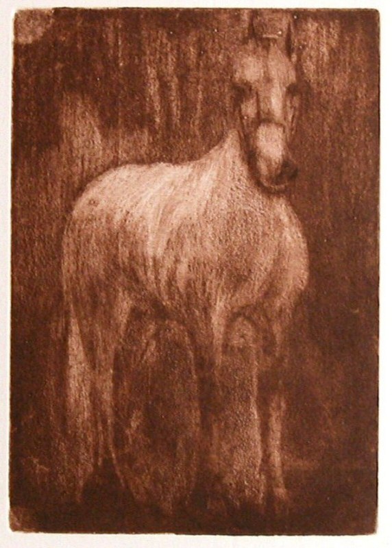 Horse 4 (Study)  2006  Picture