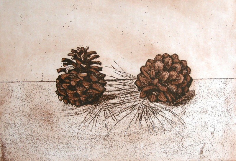 Conifers  2006  Picture