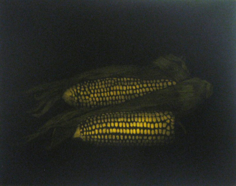 Duo 2  2009  Picture