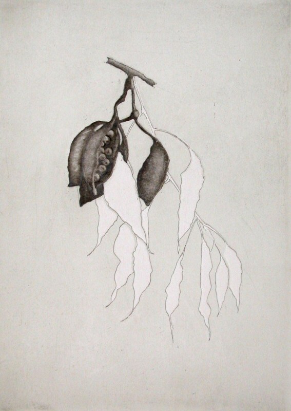 Vanitas  2009  Picture