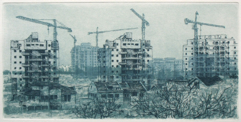 Metamorphosis, 2009 Picture