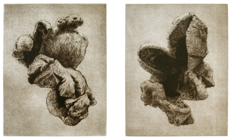 Pop (corn) art, 2009 Picture