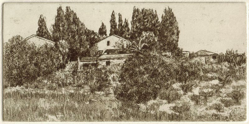 Bat Shlomo, 2006 Picture