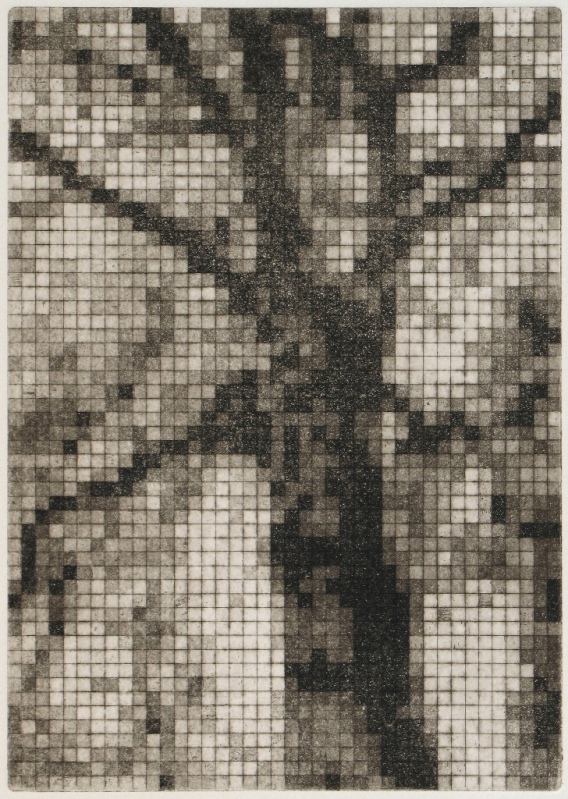 Pixelated, 2010 Picture