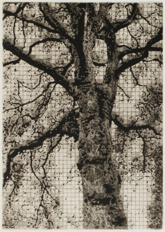 Duotone, 2010 Picture