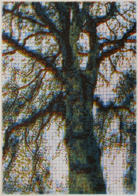 Process, 2010 Picture